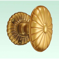 PPA-3101-EAR