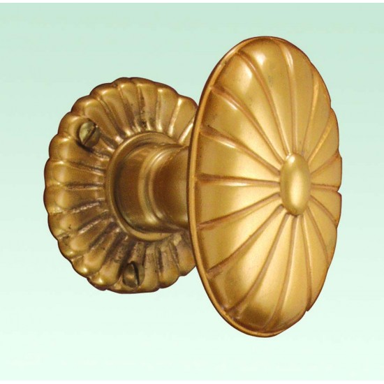 PPA-3101-EAR