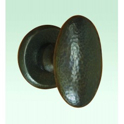 PPA-4731-EAR