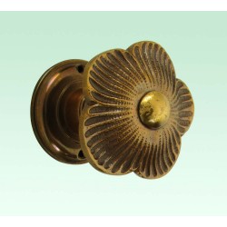 PPA-6949-EAR