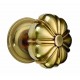 PPA-7596-EAR