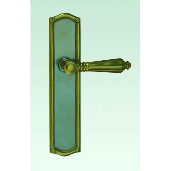 BAL-3023-HAU