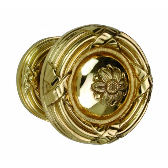 PPA-7646-RIB